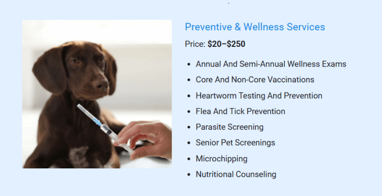 2. Preventive & Wellness Services - business plan
