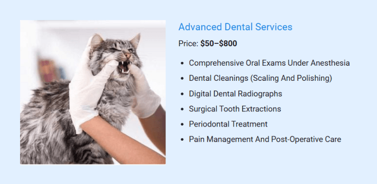 3. Advanced Dental Services - business plan