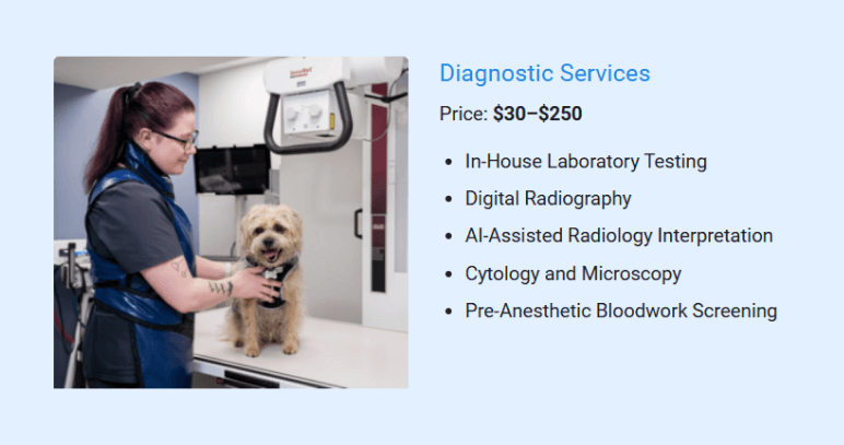 4. Diagnostic Services - business plan
