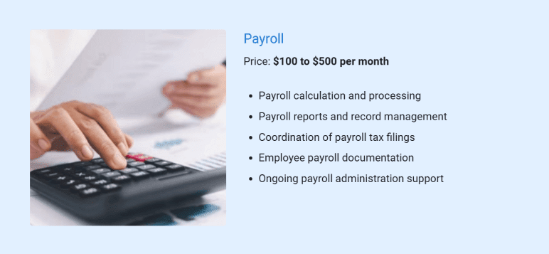 Payroll services details for accounting business plan