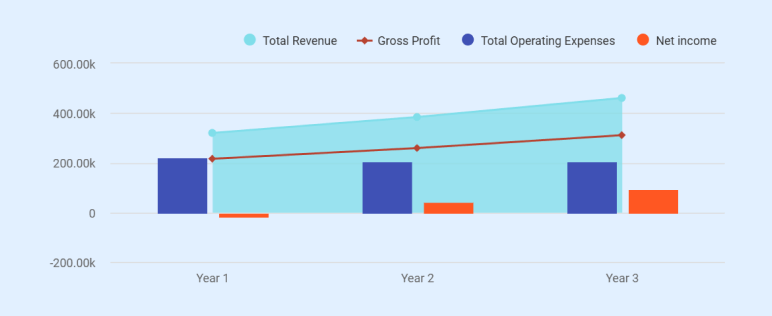 Income Statement (Profit & Loss) - business plan