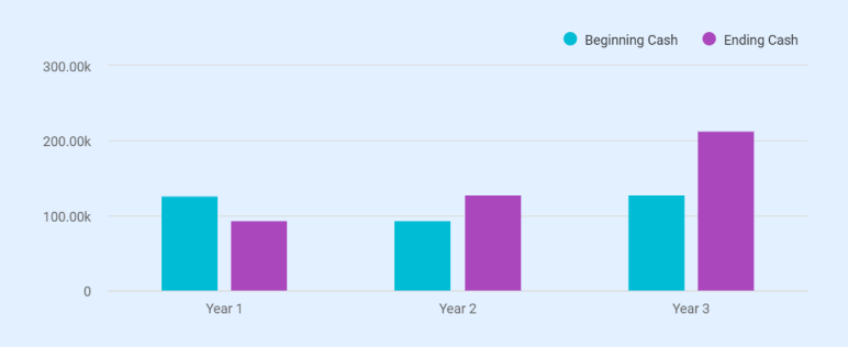Cash Flow Statement - business plan