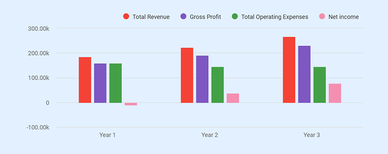 Three-year income statement projection for the coaching business