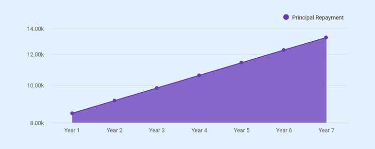 Loan repayment schedule for the coaching business plan