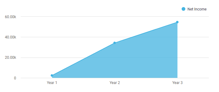 Net income trend chart from Year 1 to Year 3
