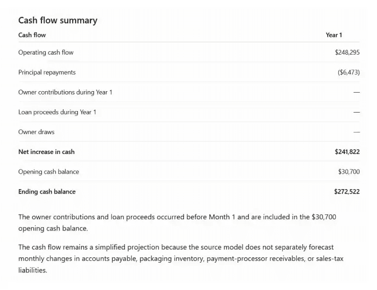 Stage 3: Build, summarize, and review the projections - cash flow summary example